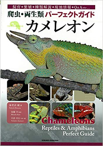 カメレオン (爬虫・両生類パーフェクトガイド)  海老沼 剛