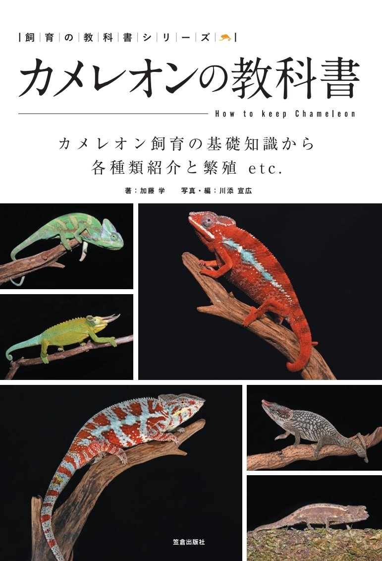カメレオンの教科書 (飼育の教科書シリーズ)  著：加藤 学　写真・編：川添 宣広